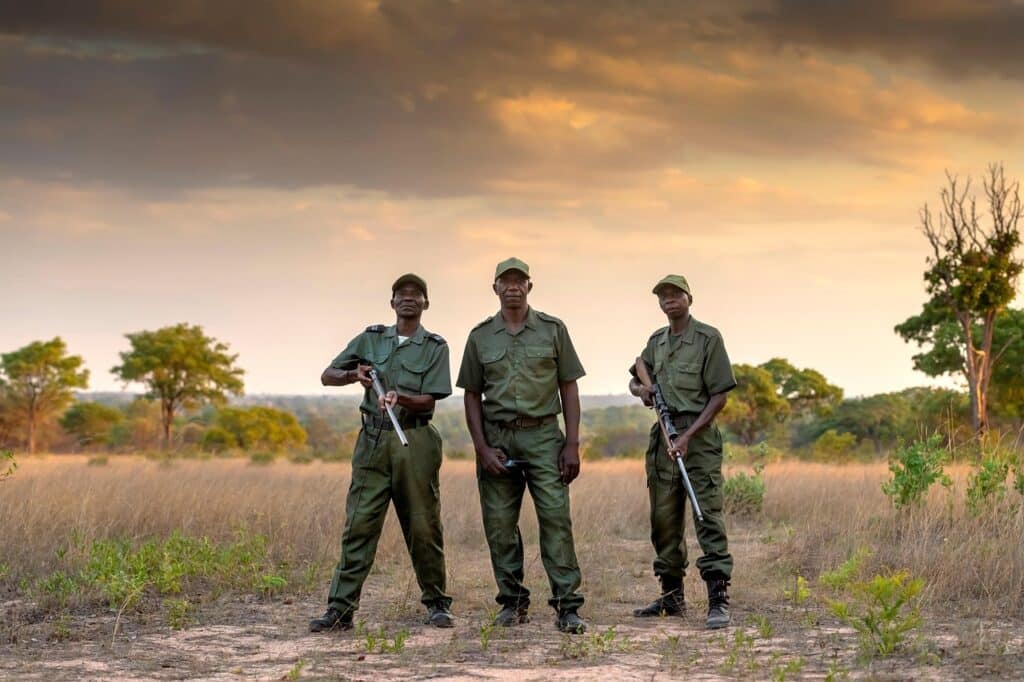 Vitamins to Look Younger: Unlocking the Secret to Youthful Skin