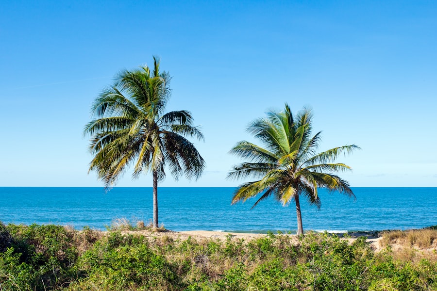 Anti-Aging Doctor Palm Coast Florida