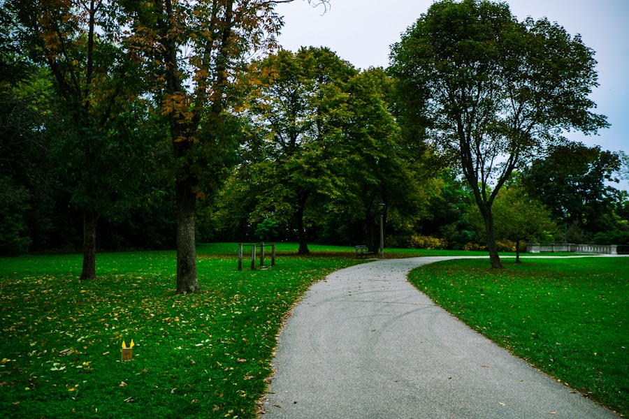 Anti-Aging Doctor Orland Park Illinois