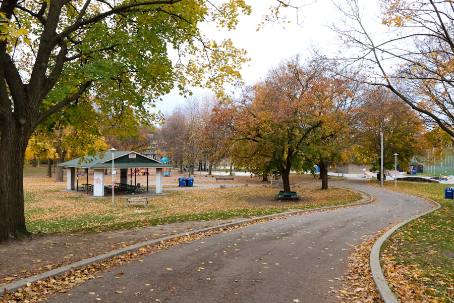 Anti-Aging Doctor St Louis Park Minnesota