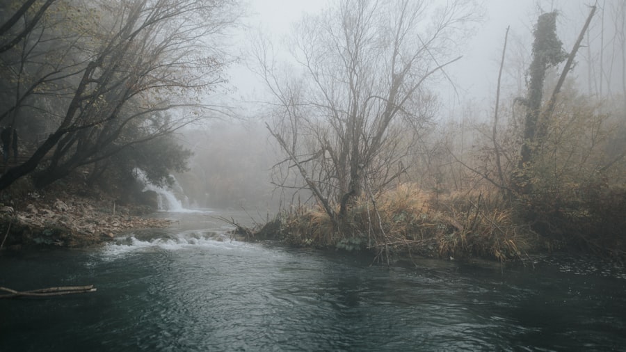 Anti-Aging Doctor Valley Stream