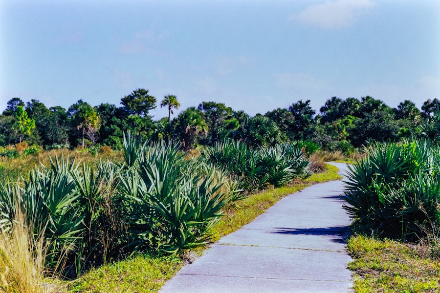 Anti-Aging Doctor Plantation Florida