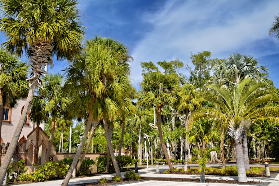 Photo Anti-Aging Doctor Altamonte Springs Florida