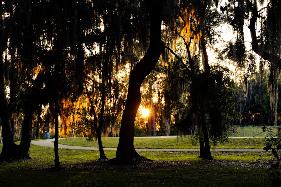 Photo Anti-Aging Doctor Plantation Florida