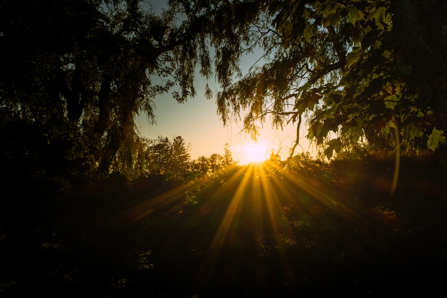 Photo Anti-Aging Doctor Sunrise Florida