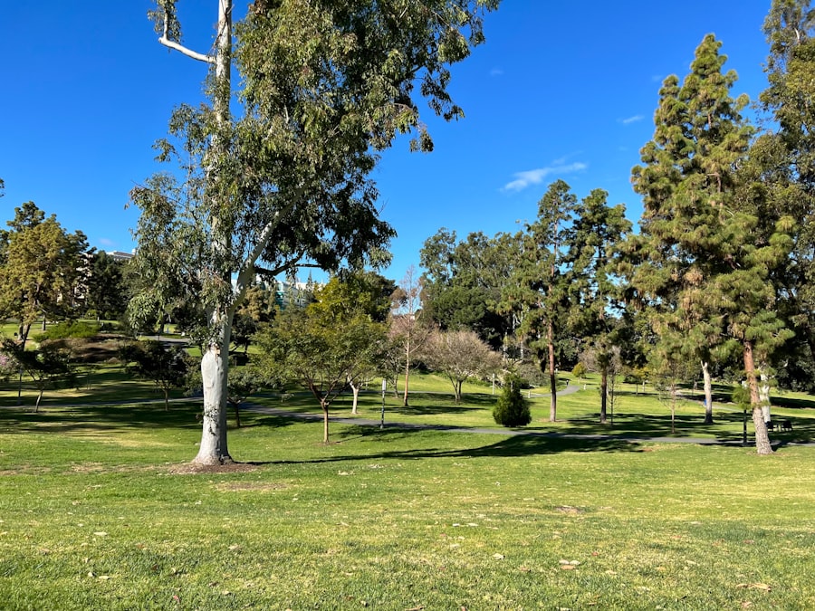 Photo Anti-Aging Doctor Buena Park California