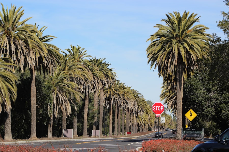 Photo Anti-Aging Doctor Upland California