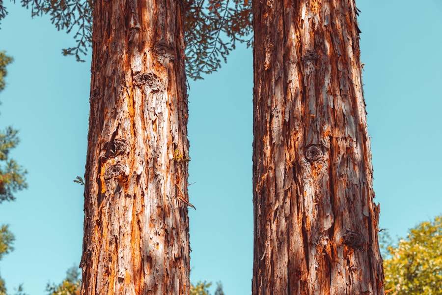 Photo Anti-Aging Doctor Madera California